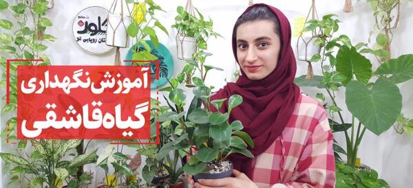 عکس گل قاشقی طبیعی