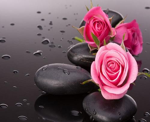 عکس گل زیبا جدید نقاشی