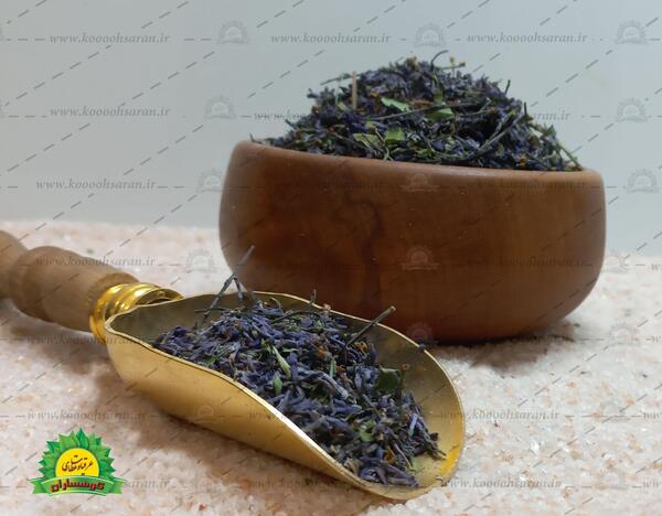 عکس گل یاس کبود برای پروفایل