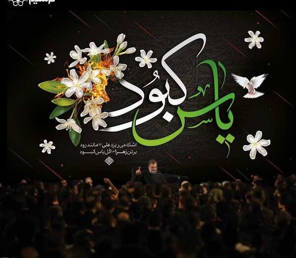 عکس گل یاس کبود برای پروفایل