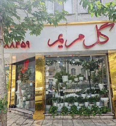 عکس گل فروشی مریم