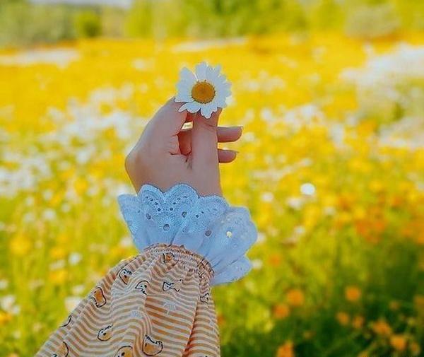عکس گل زیبا در دست دختر برای پروفایل