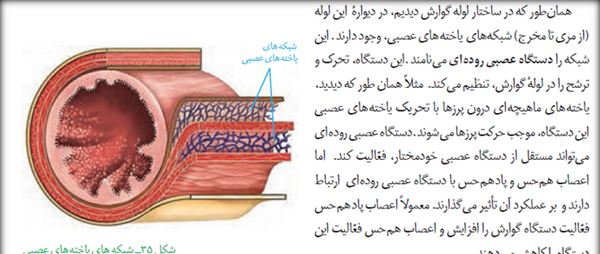 عکس سیاهرگ باب فوق کبدی