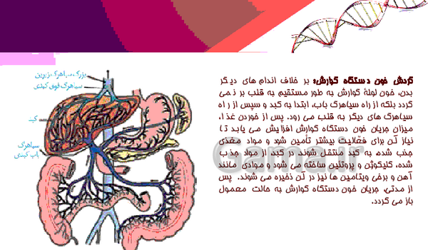 عکس سیاهرگ باب فوق کبدی
