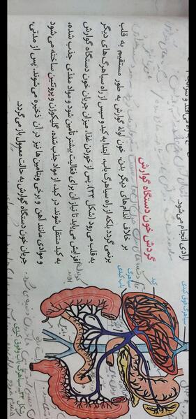 عکس سیاهرگ باب فوق کبدی