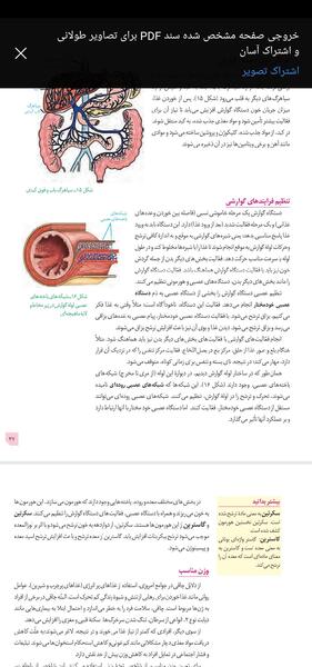 عکس سیاهرگ باب فوق کبدی