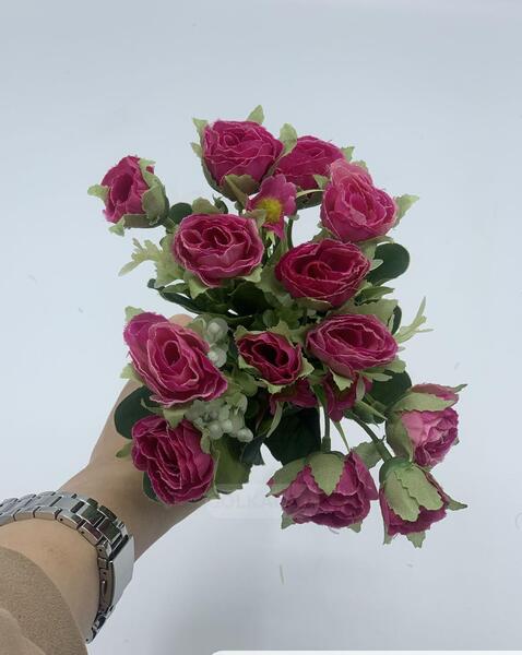 عکس های گل رز بنفش