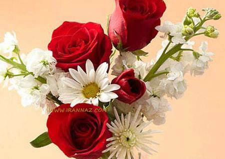 عکس هدیه دادن گل عاشقانه