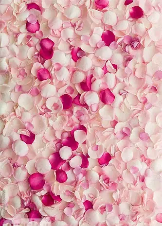 عکس زمینه گلبهی