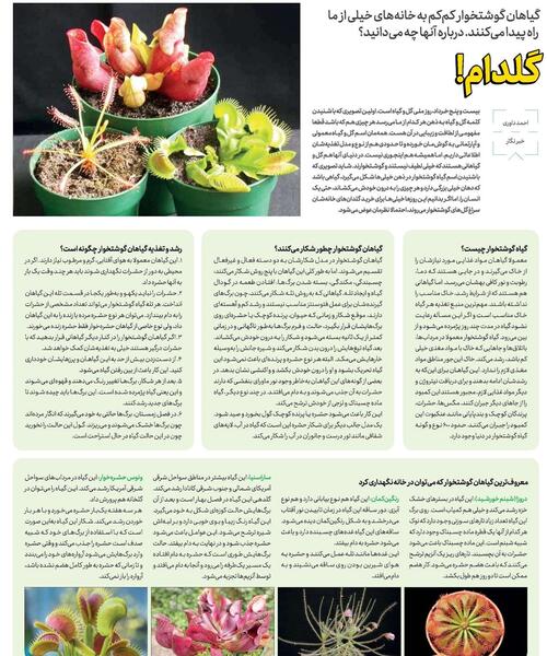 دانلود عکس گل گوشت خوار