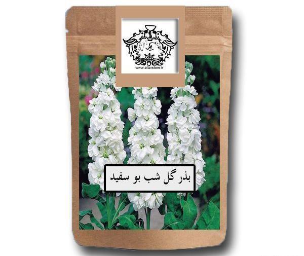 عکس گل شب بو سفید