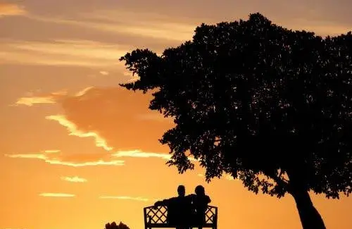 عکس غروب عاشقانه دو نفره