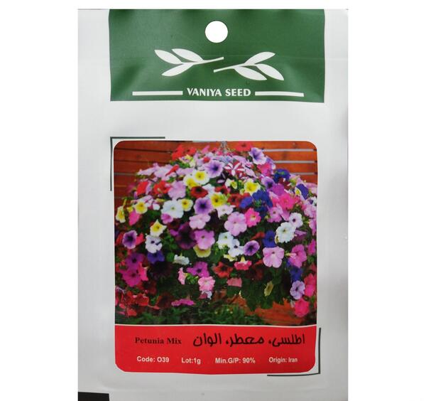 عکس دسته گل اطلسی
