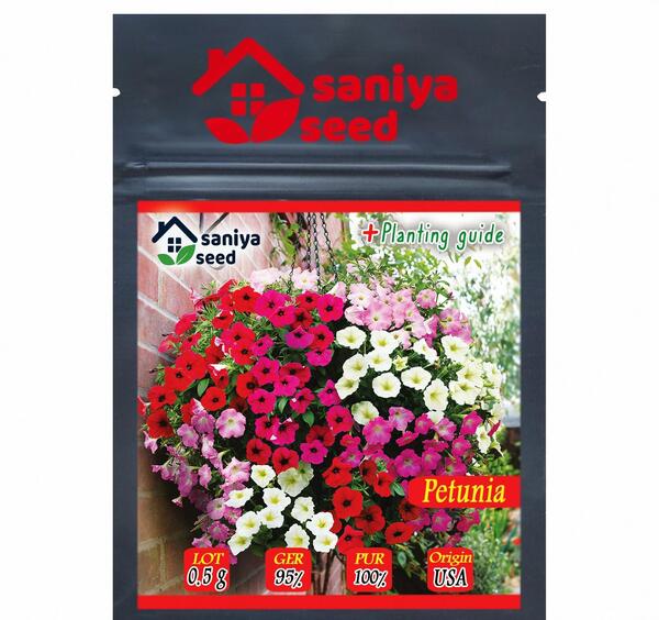 عکس دسته گل اطلسی