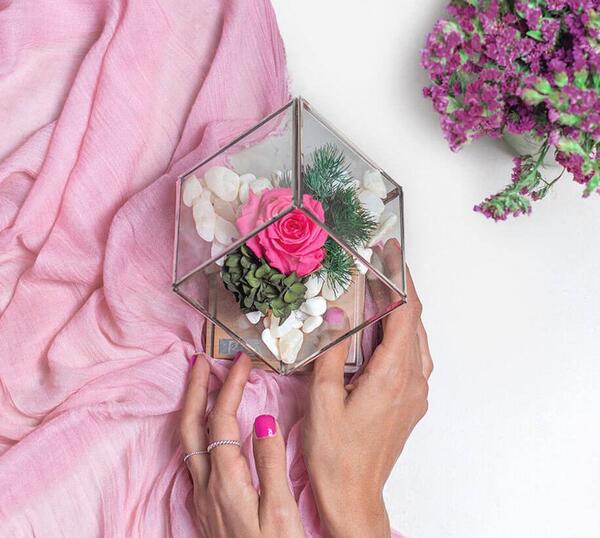 عکس گل رز قرمز سفید و صورتی