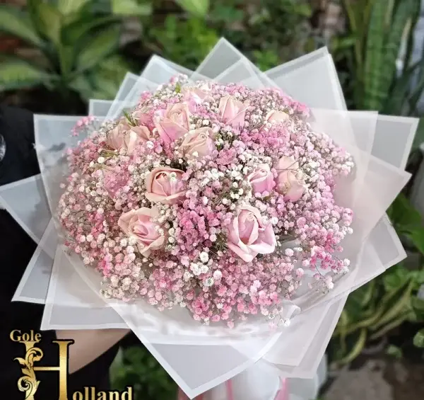 عکس گل رز قرمز سفید و صورتی