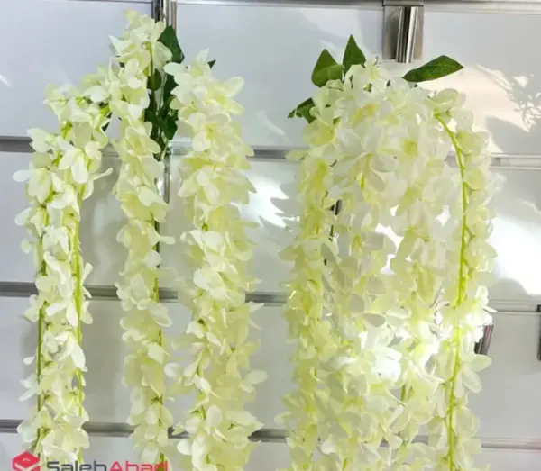 عکس های گل اقاقیا