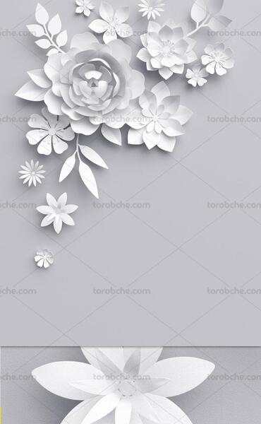 عکس حاشیه گل ساده