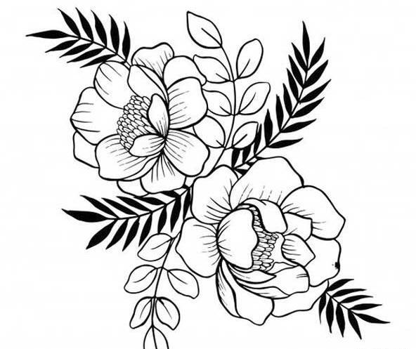 عکس حاشیه گل ساده