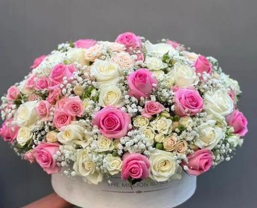 عکس گل گلدانی
