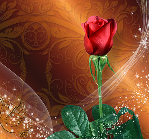 عکس گل متحرک برای صفحه گوشی