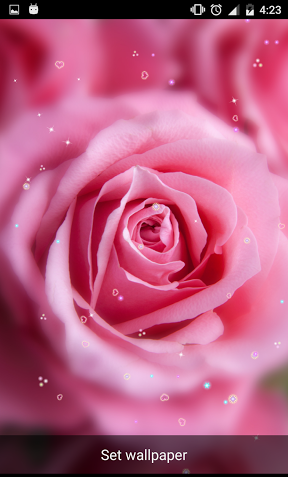 عکس گل متحرک برای صفحه گوشی