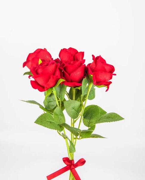 عکس گل و گیاه برای پس زمینه