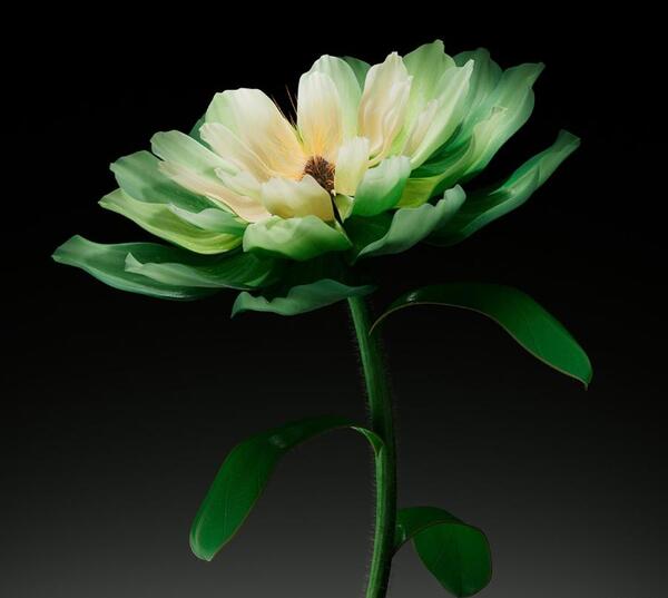 عکس گل و گیاه برای پس زمینه