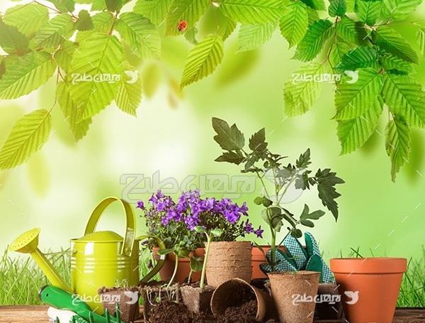 عکس گل و گیاه برای پس زمینه