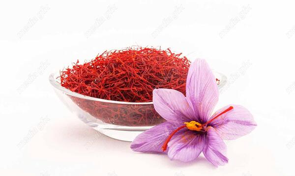 عکس گل و گیاه برای پس زمینه