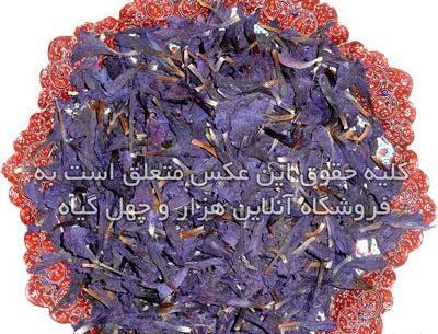 عکس گل انار فارسی