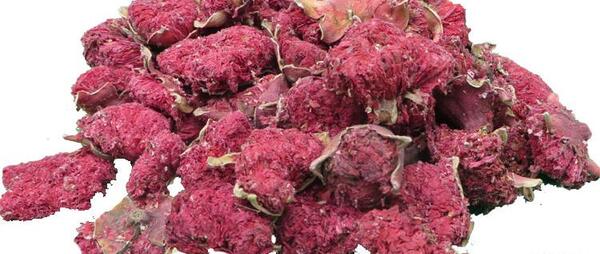 عکس گل انار فارسی