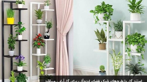 عکس گل خانگی زیبا
