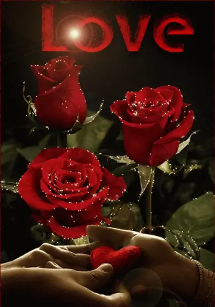 عکس گل متحرک زیبا