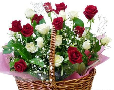 عکس گل متحرک زیبا