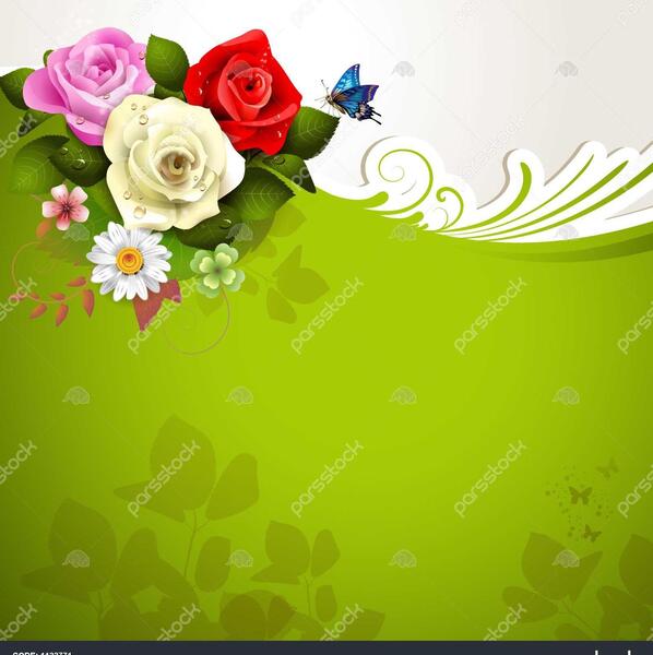 عکس های گل رز سبز