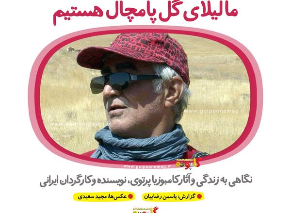 عکس لیلا گل پامچال