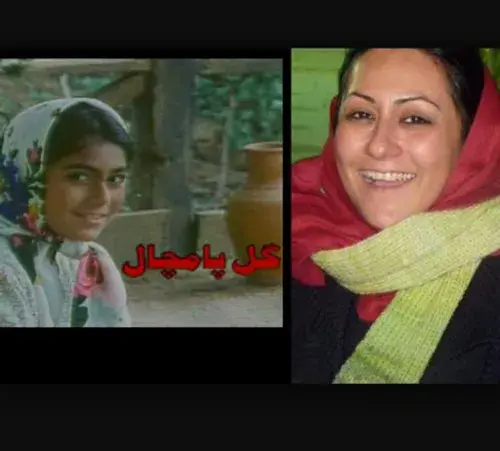 عکس لیلا گل پامچال
