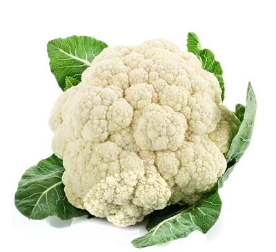 عکس گل کلمی