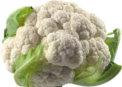 عکس گل کلمی