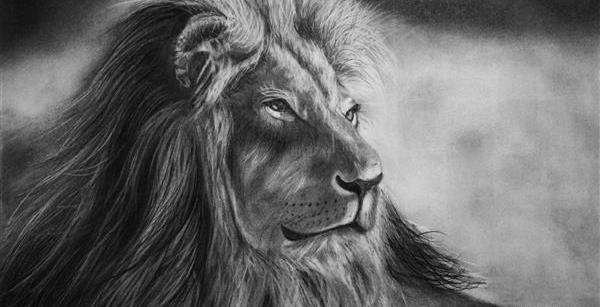 عکس طراحی سیاه قلم حیوان