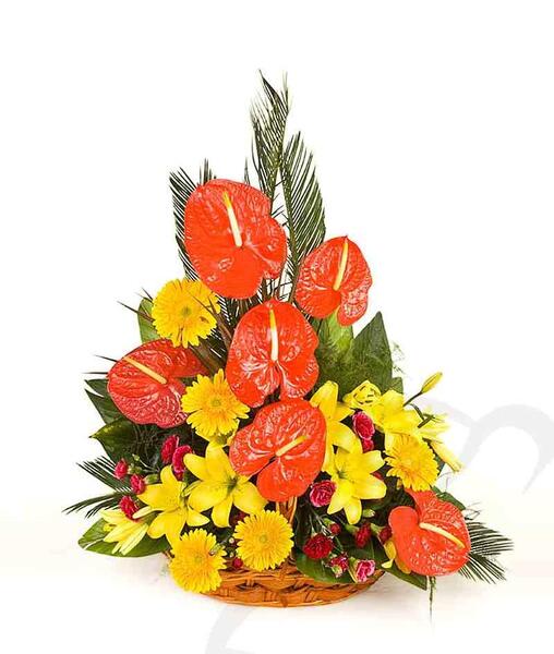 عکس گل فروشی زعیم تهران