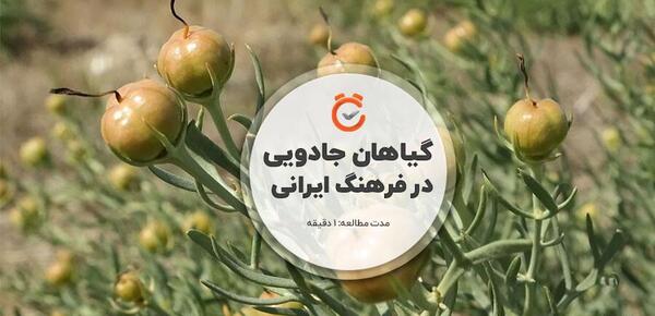 عکس گل جادویی واقعی