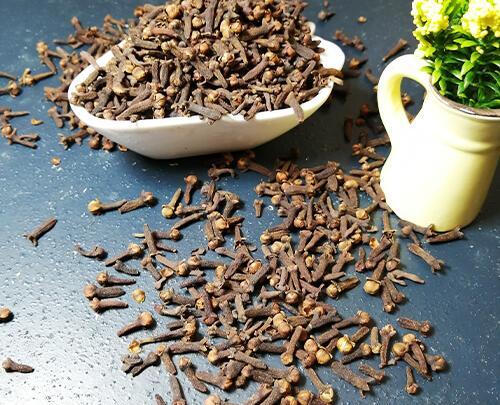 عکس گل میخک خشک شده