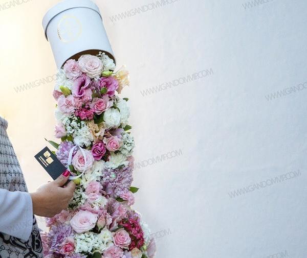 عکس گل میخک خشک شده