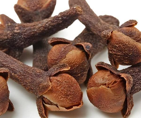 عکس گل میخک خشک شده