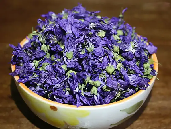 عکس گل میخک خشک شده