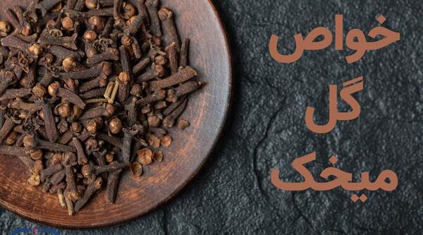 عکس گل میخک خشک شده