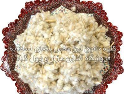عکس گل میخک خشک شده