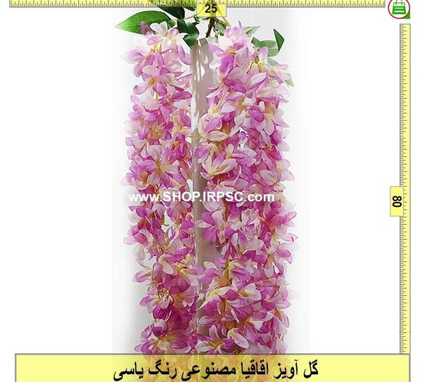 عکس گل اقاقیا بنفش